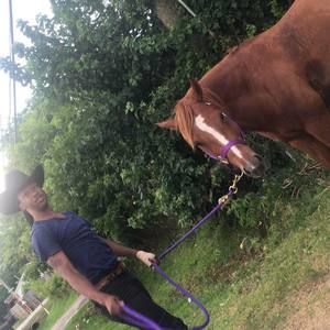 Meet your Posher, Samuel